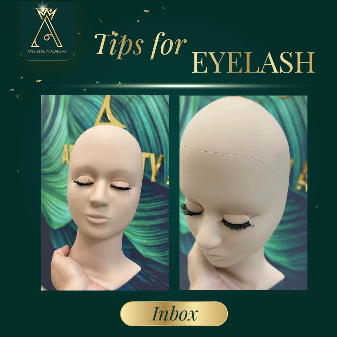 Discover Various Eyelash Styles in Eyelash course at Apex